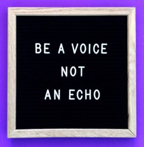 Explainer video: image of a board with 'Be a voice not an echo' written on it.