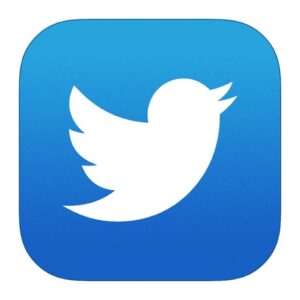 Energize your brand: image of Twitter logo
