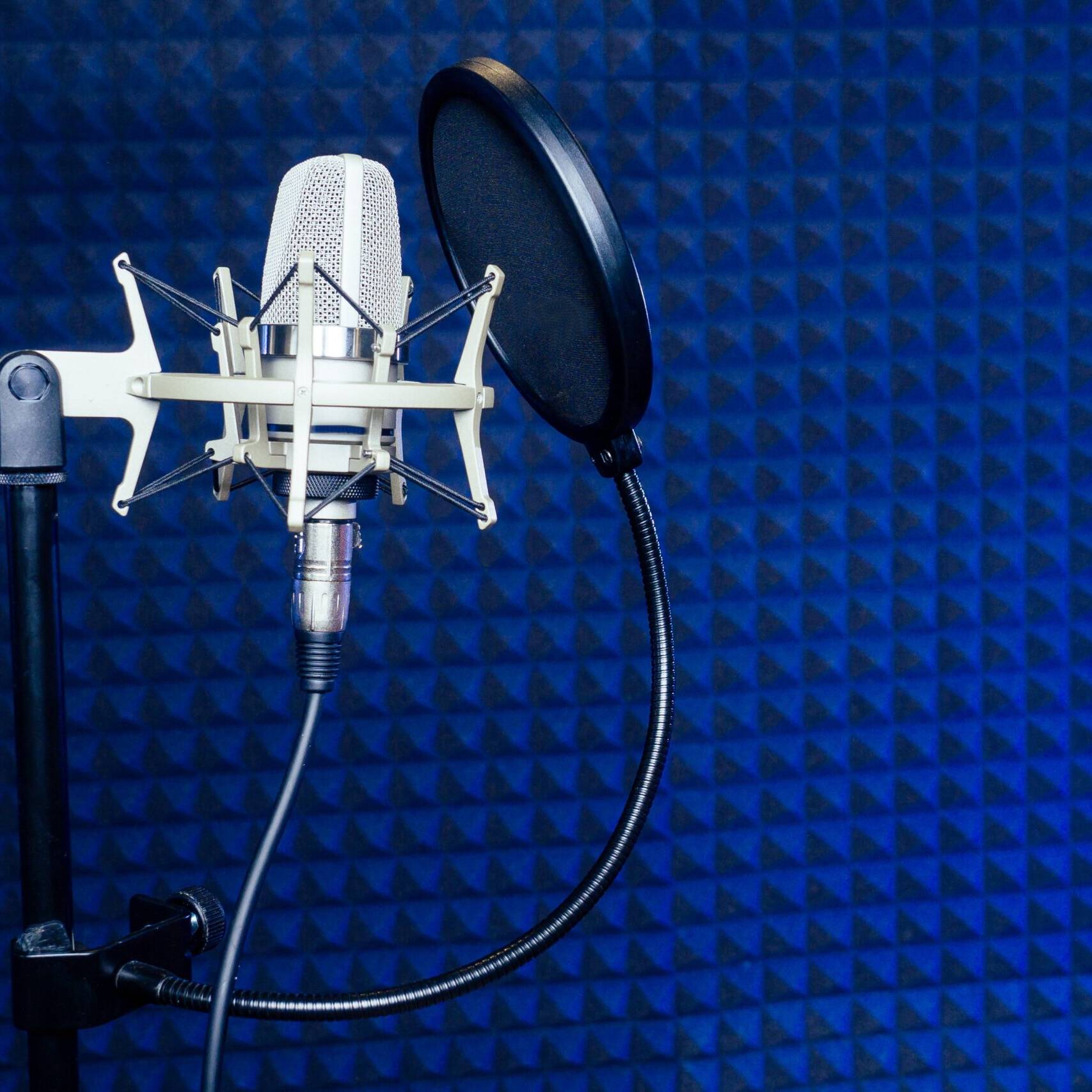types of pop filters
