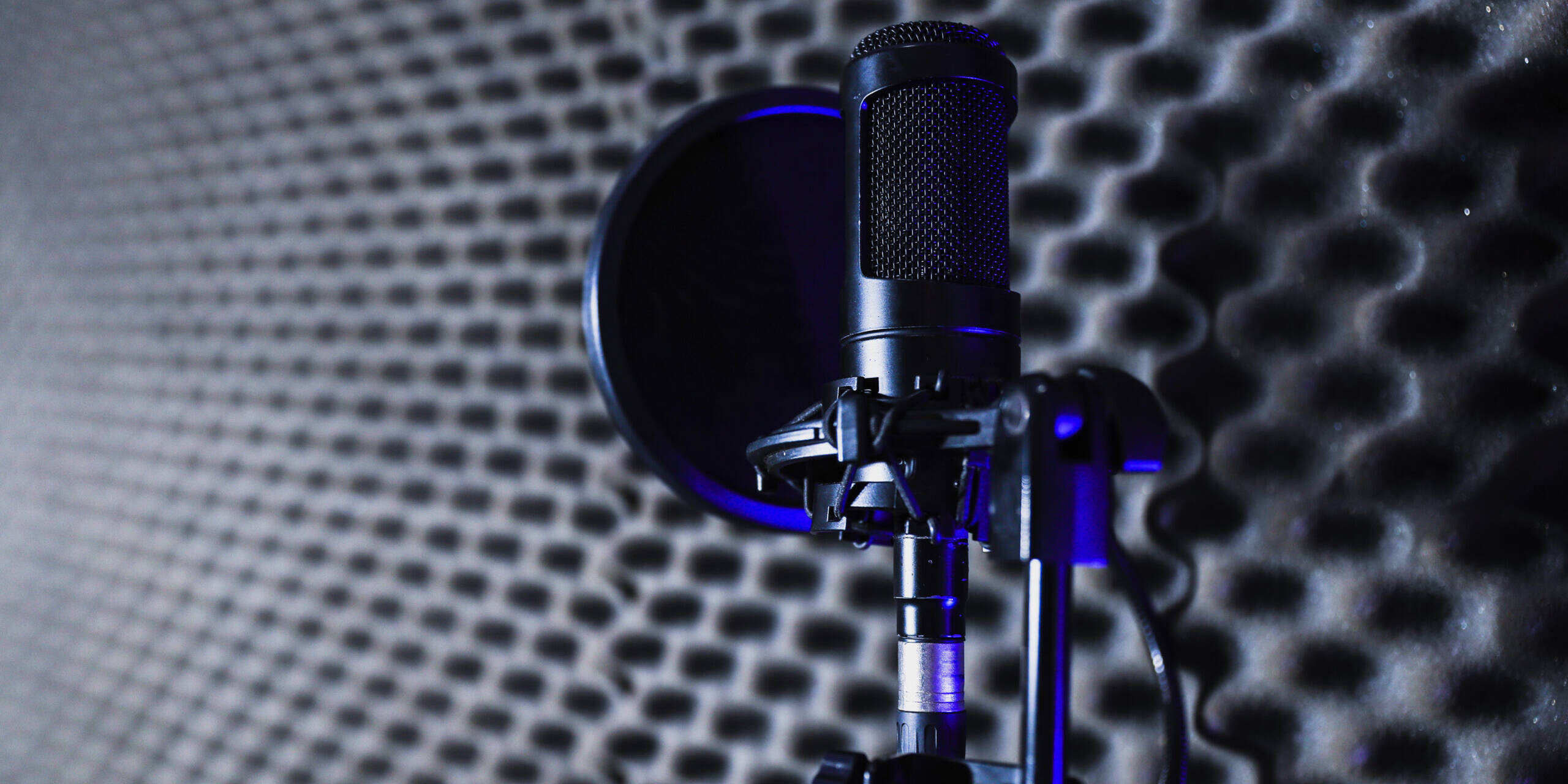 How to make your voice deeper The Booth